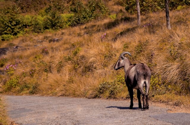 nandhu-kumar-oguTHIRSyHQ-unsplash