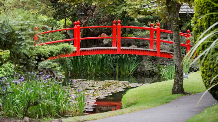 95_japanese-garden-kildare-ireland-18
