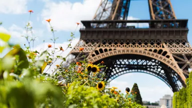 eiffel-tower-paris-france-1