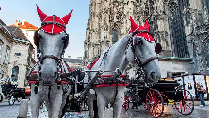 horse-drawn-carriage-vienna-austria-1
