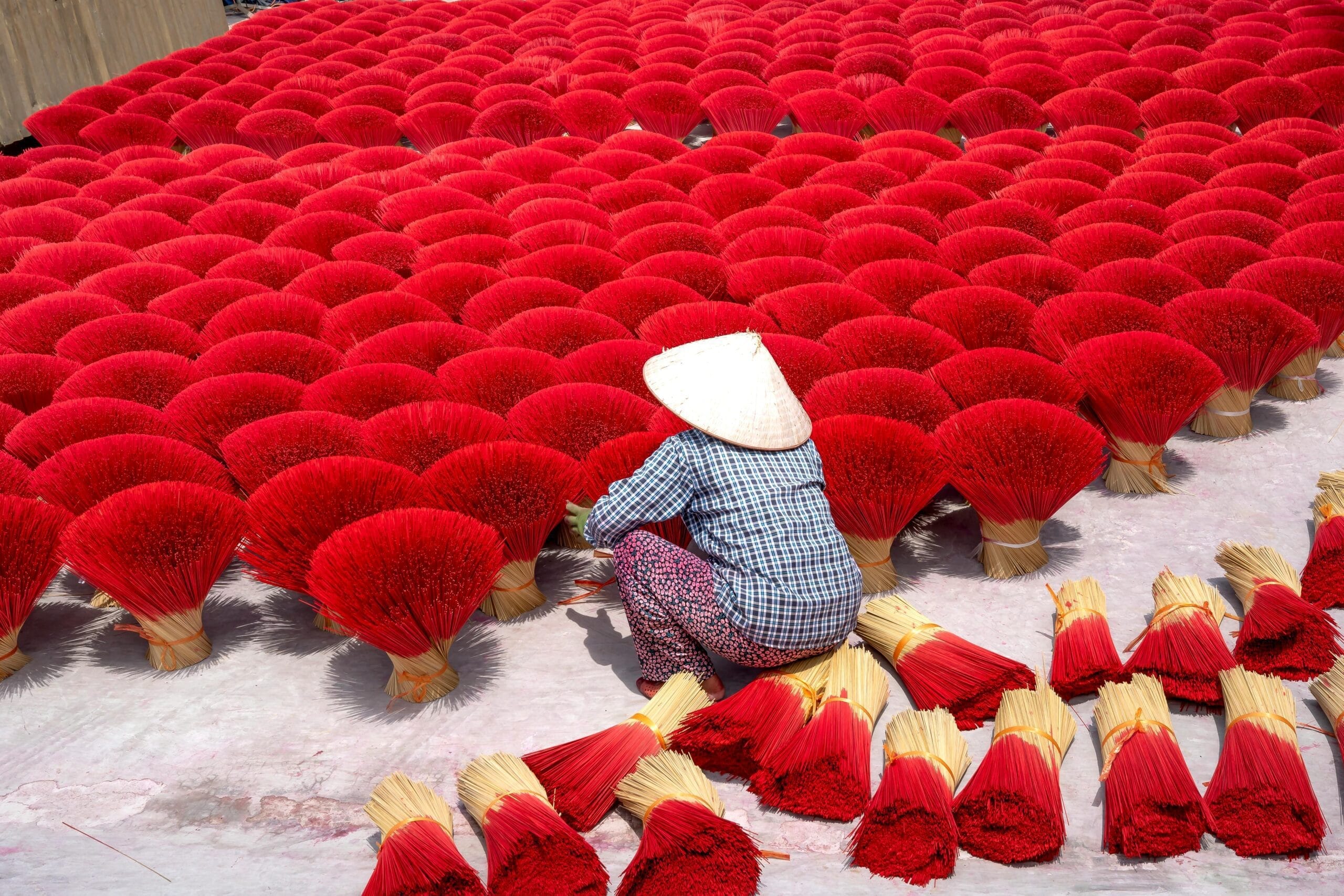 Vietnam ๐ป๐ณ