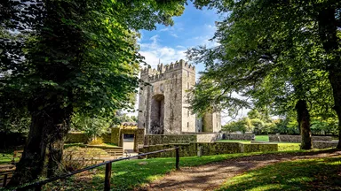 visit-bunratty-castle-folk-park-limerick-ireland-3