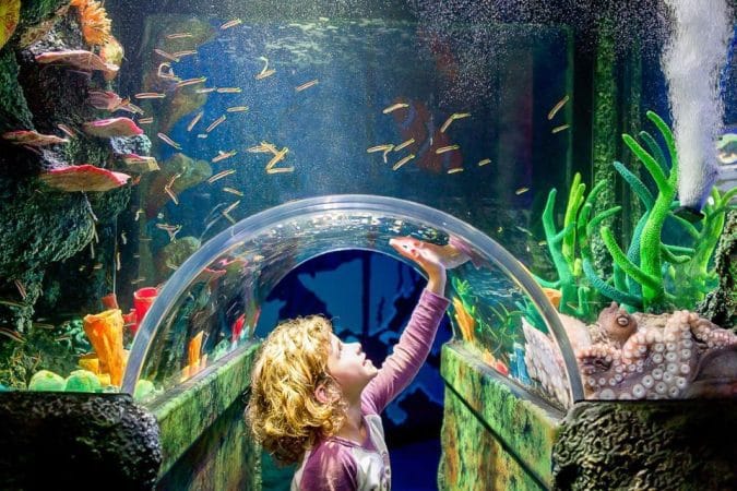 SEA LIFE Sydney Aquarium1