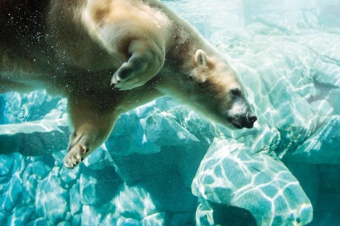 Sea World1