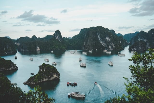 ammie-ngo-vcu-OZBxxRk-unsplash