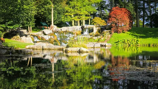 japanese-gardens-kildare-ireland-1