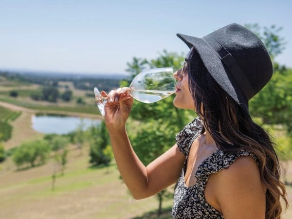 wine tastings