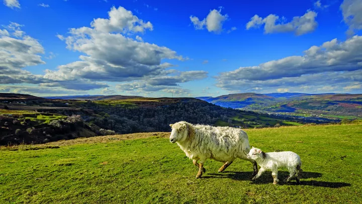 05_brecon-beacons-landscpace-brecon-beacons-wales-15