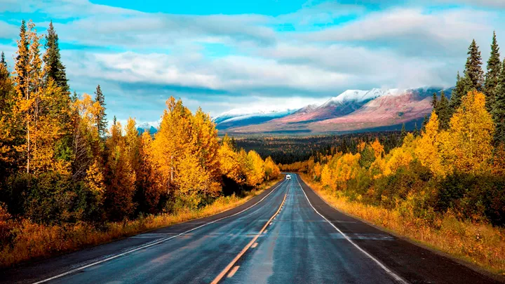 26_george-parks-highway-alaska-usa-17