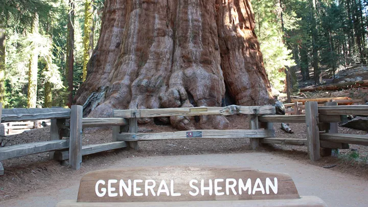 general-sherman-tree-sequoia-national-park-usa-1