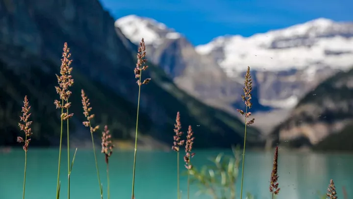 lake-louise-banff-canada-1