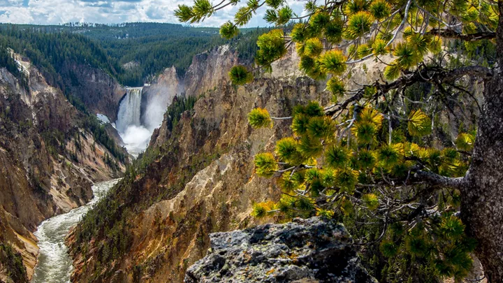 lower-yellowstone-falls-yellowstone-national-park-usa-29