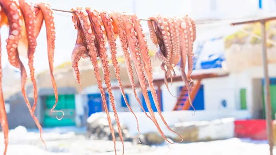 octopus-santorini-greece-1