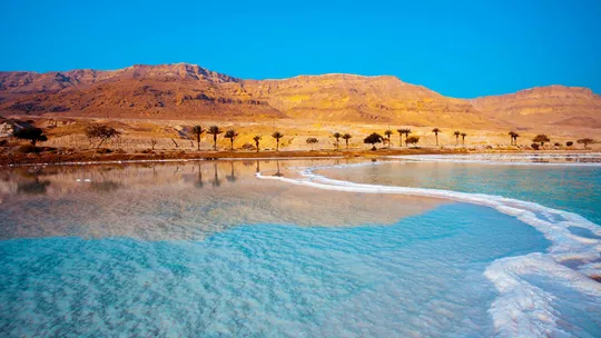 palm-trees-mountains-dead-sea-jordan-1