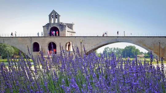 pont-d-avignon-avignon-france-1