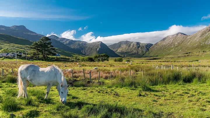 scenery-connemara-ireland-14