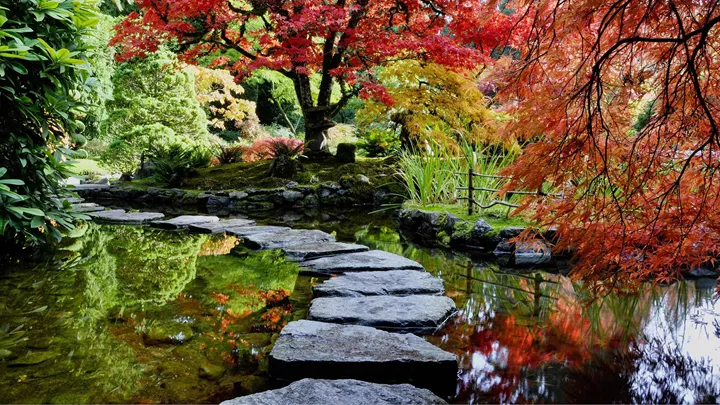 stepping-stones-lake-victoria-canada-9