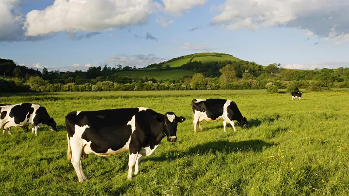 take-in-the-somerset-countryside-england-1