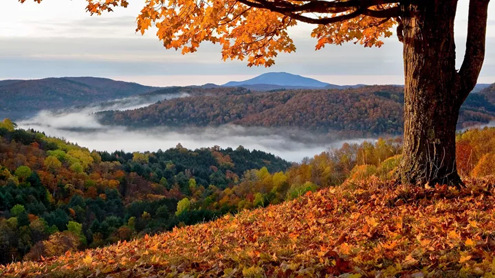 view-vermont-usa-7