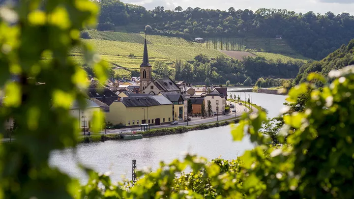 view-village-rhine-river-germany-1