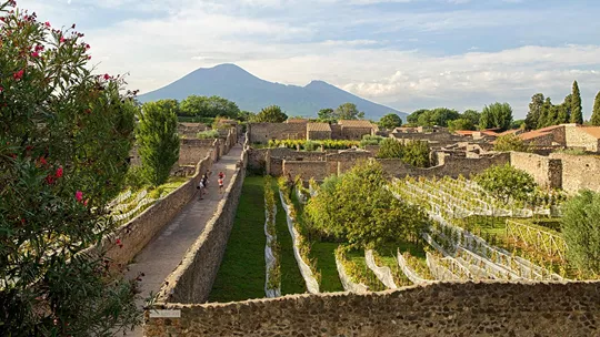 vineyard-pompeii-italy-2