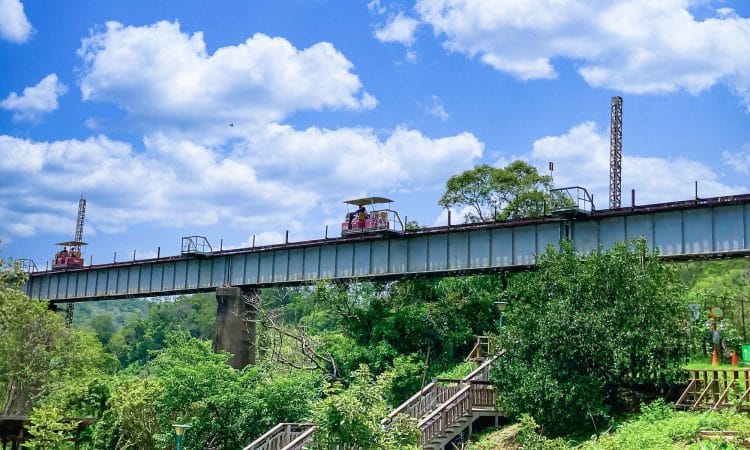 nature-miaoli-old-mountain-line-rail-bike