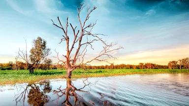 yellow-water-billabong-wetlands-of-kakadu-north-territory-australia-523955728-1