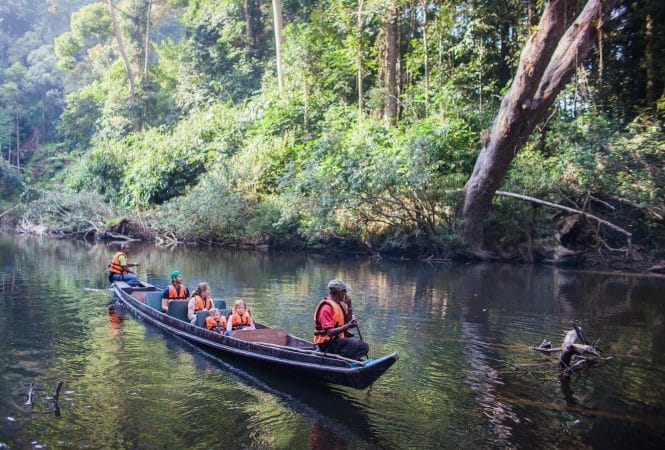 Mutiara Taman Negara – Tahan River (5)