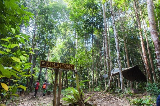 Mutiara Taman Negara – Waterfall (21)