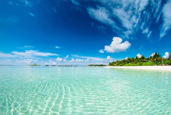 uex6r0jecppea9y52a3xxlijwvcn_1585637957_photo-of-blue-sea-1430677
