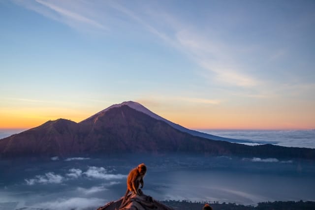 abdelrahman-ismail-tmBYSL3kZcE-unsplash