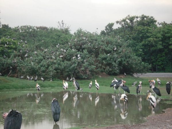 Safari World Bangkok