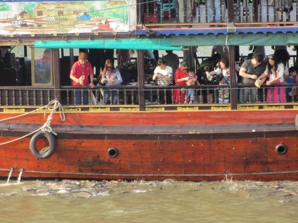 Feeding the fish in the Chaophraya river