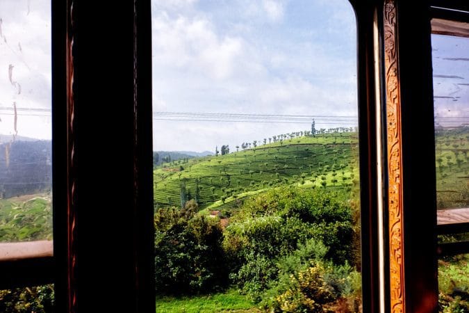 On the Ooty train