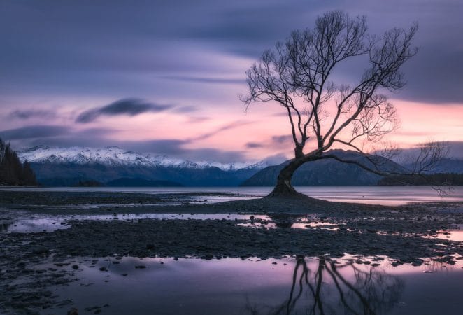 Wanaka Winter