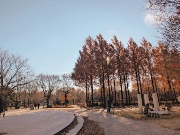 note-thanun-nO_LeNNJlM4-unsplash