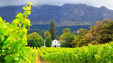 cape-dutch-manor-house-cape-town-south-africa-2
