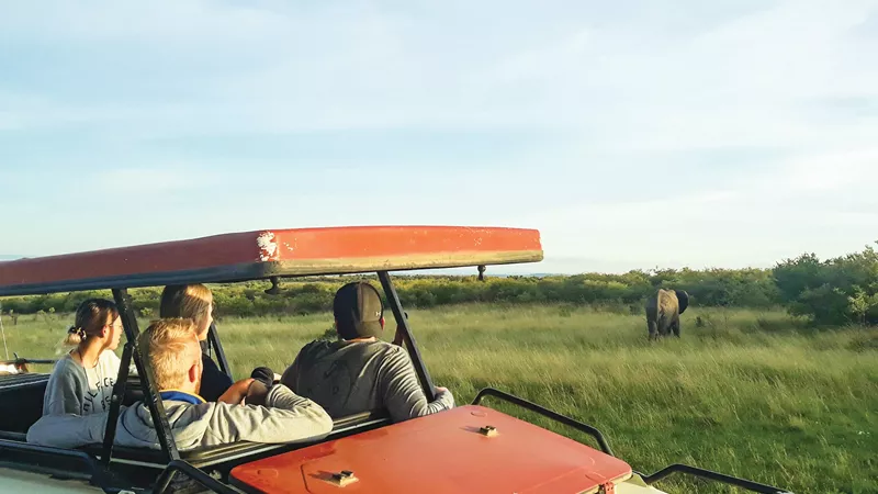 maasai-mara-2nd-afternoon-game-drive-kenya-4