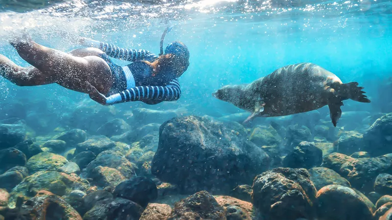 see-famous-sea-lions-san-cristobal-island-galapagos-4 (1)