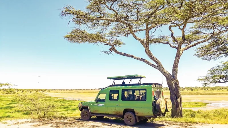 serengeti-afternoon-game-drive-tanzania-3