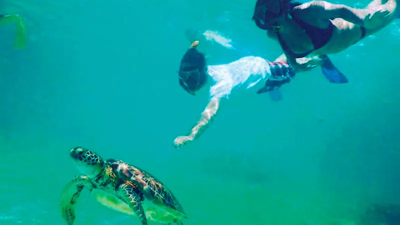 snorkeling-experience-isabela-island-galapagos-3