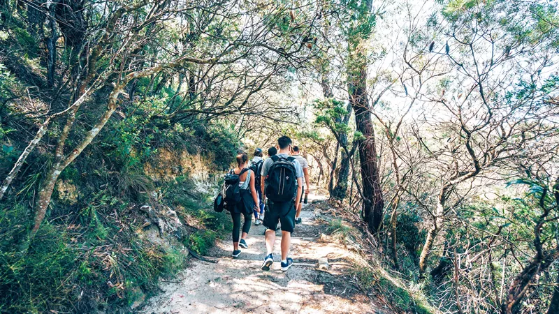 take-a-day-trip-to-the-blue-mountains-sydney-australia-1