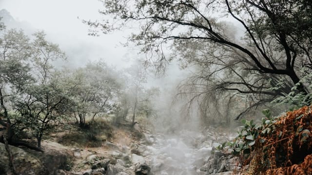 adytia-purwo-wicaksono-iJmjtGs6bMQ-unsplash