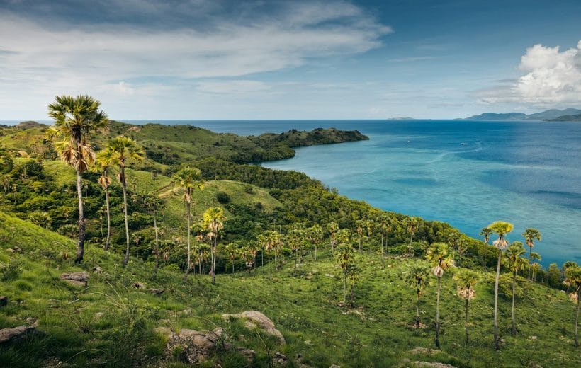 4D3N LABUAN BAJO – DAY TRIP KOMODO ISLAND BY SPEEDBOAT